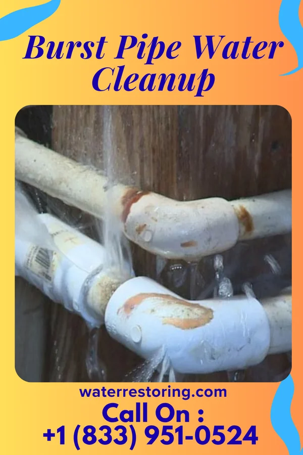 Burst Pipe Water Cleanup in Cordes Lakes, AZ